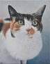 RETRATO GATA EMMYLOU
