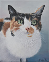Retrato gata emmylou