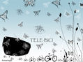 TELE-BICI