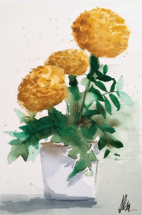 Calendulas, Flores IV