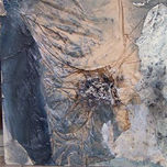 TORSOS thumbnail 2