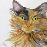 felinos thumbnail 1