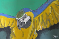 Guacamaya