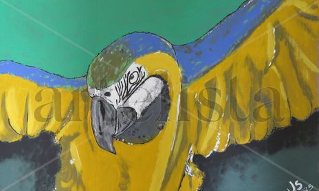 Aves Birds