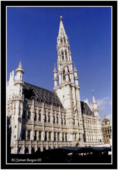 Ayuntamiento, Grand Place. Viajes Color (Química)