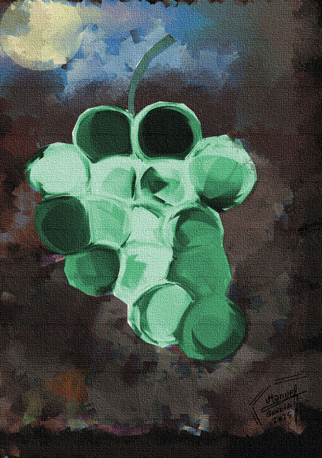 uva rancea