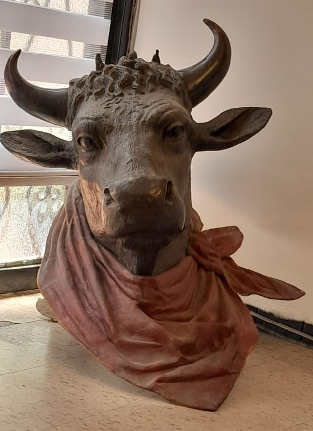 ROSTRO DE TORO