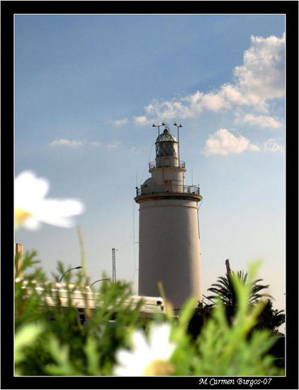 La farola en primavera Other Themes Color (Digital)