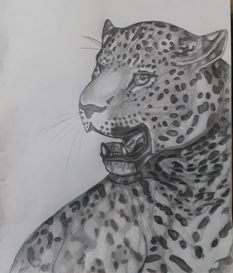 Rey del monte Pencil