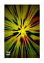 Infinite Layers Artwork