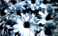 Entre luces me...