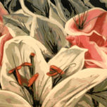 Flor thumbnail 1