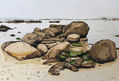 Rocas