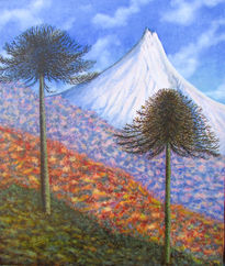 Araucarias Andinas.