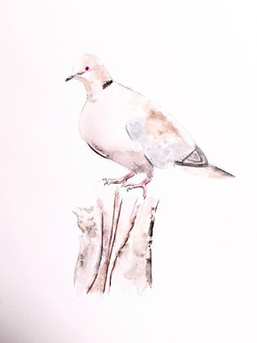 Sutileza (Delicacy)