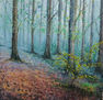 Bosque en otoño