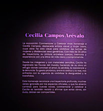 Arte cuir
