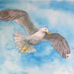 pájaros thumbnail 1