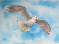 Gaviota