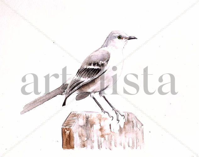 El Sinsonte I / The Mockingbird I Acuarela Papel Animales