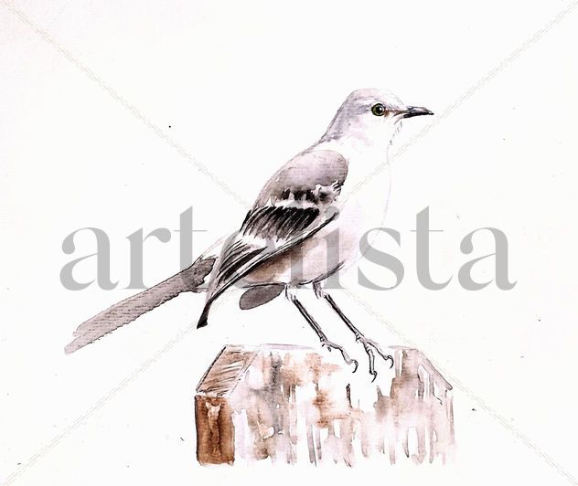 El Sinsonte I / The Mockingbird I