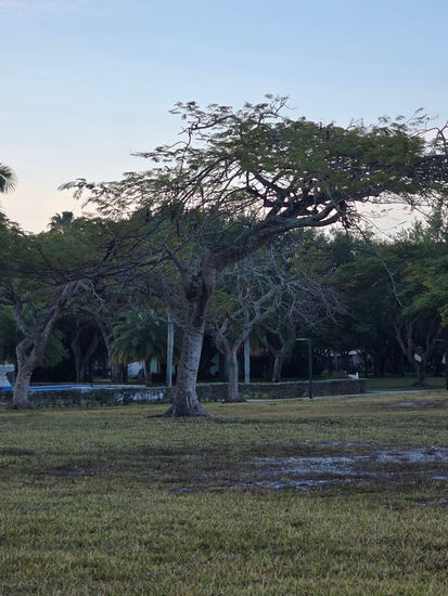 Destino Naturaleza Técnicas alternativas