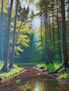 2025-Bosque soleado