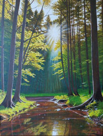 2025-Bosque soleado