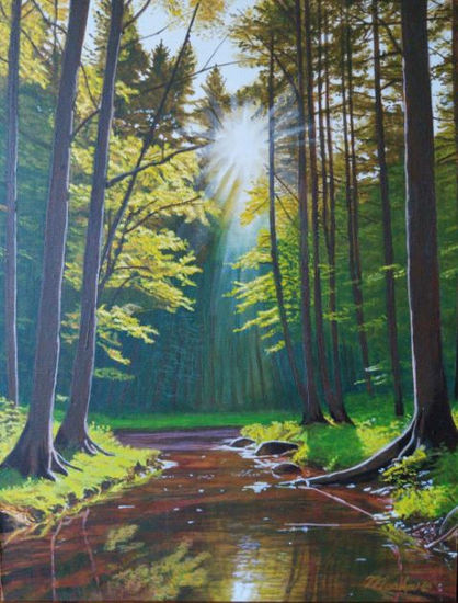 2025-Bosque soleado Acrylic Others Landscaping