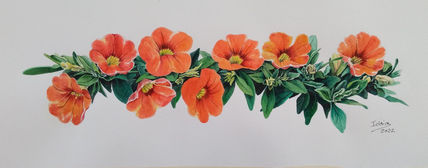 Petunias