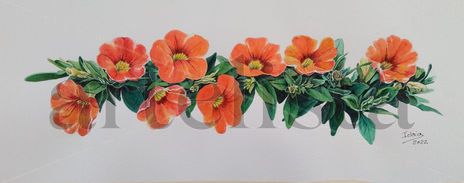 Petunias