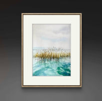 Albufera
