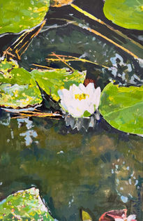 Nenufares