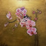 Orchids
