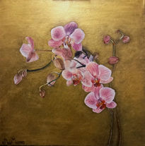 Orchids