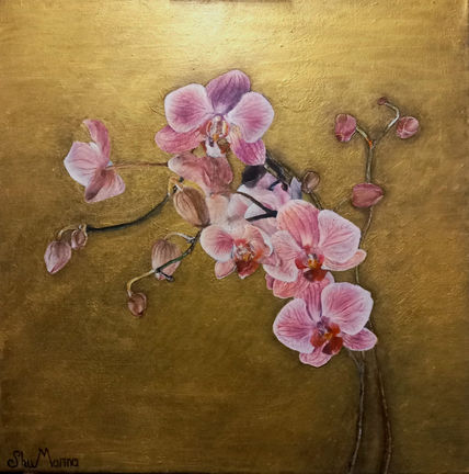 Orchids