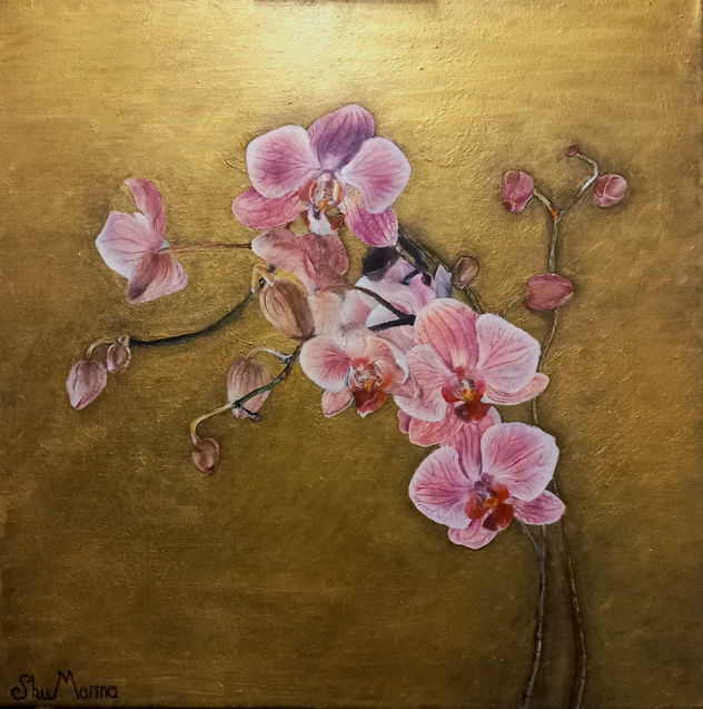 Orchids