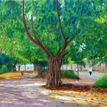 Jardin del Turia thumbnail 2