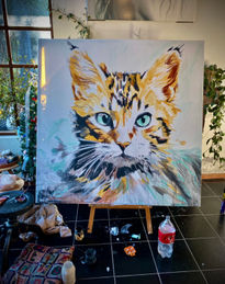 Mirada de un gato