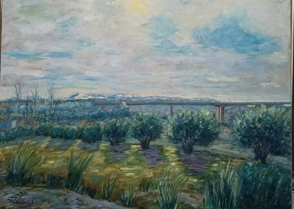 Olivos