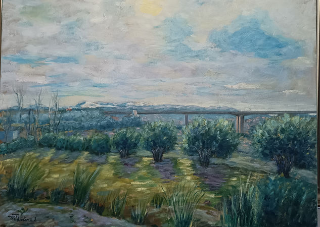 Olivos Oil Canvas Landscaping