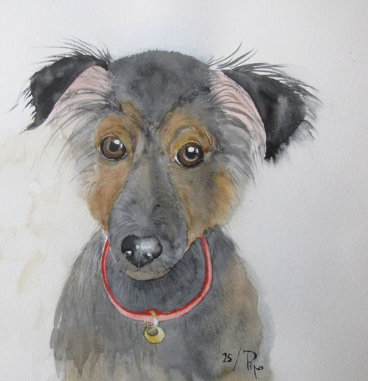 Cristobal Watercolour Paper Animals