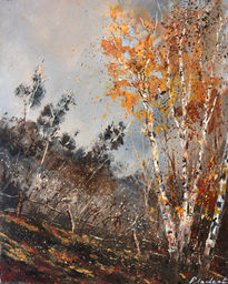 Aspen trees in autumn