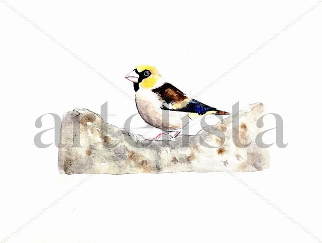 El Picogordo II Watercolour Paper Animals