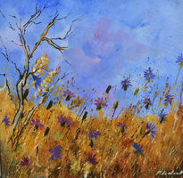 Blue cornflowers