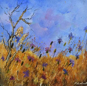 Blue cornflowers