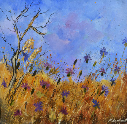 Blue cornflowers