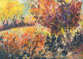 Autumn meadow