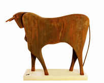 TORO 53 - 55 cm.