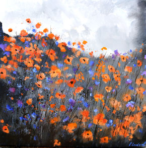 Orange poppies